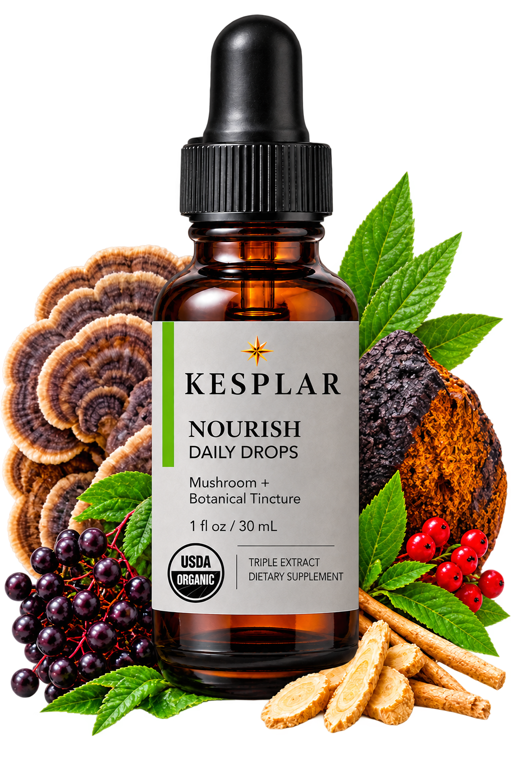 Nourish bottle shown with Turkey Tail, Lion’s Mane, Reishi, Cordyceps, Schisandra Berry, Tulsi